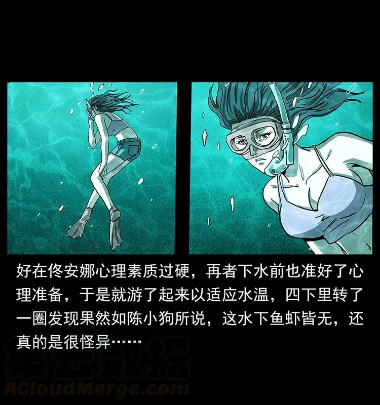 240 意外频发的诱捕 第5页