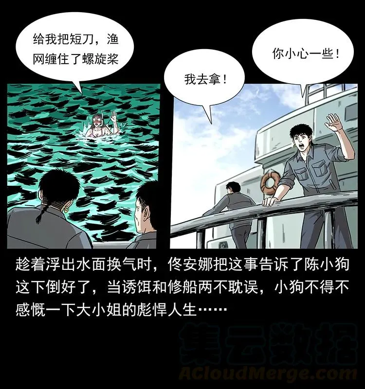 240 意外频发的诱捕 第9页