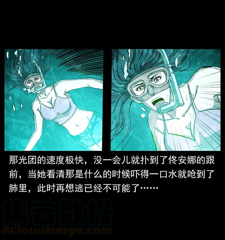 240 意外频发的诱捕 第13页