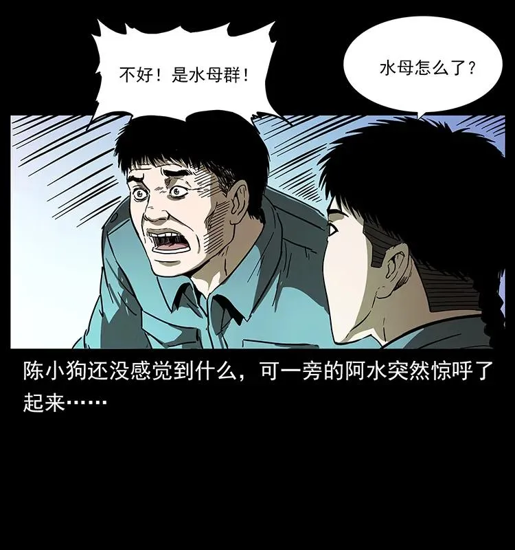 240 意外频发的诱捕 第16页