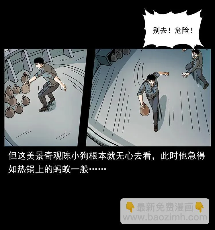 240 意外频发的诱捕 第19页