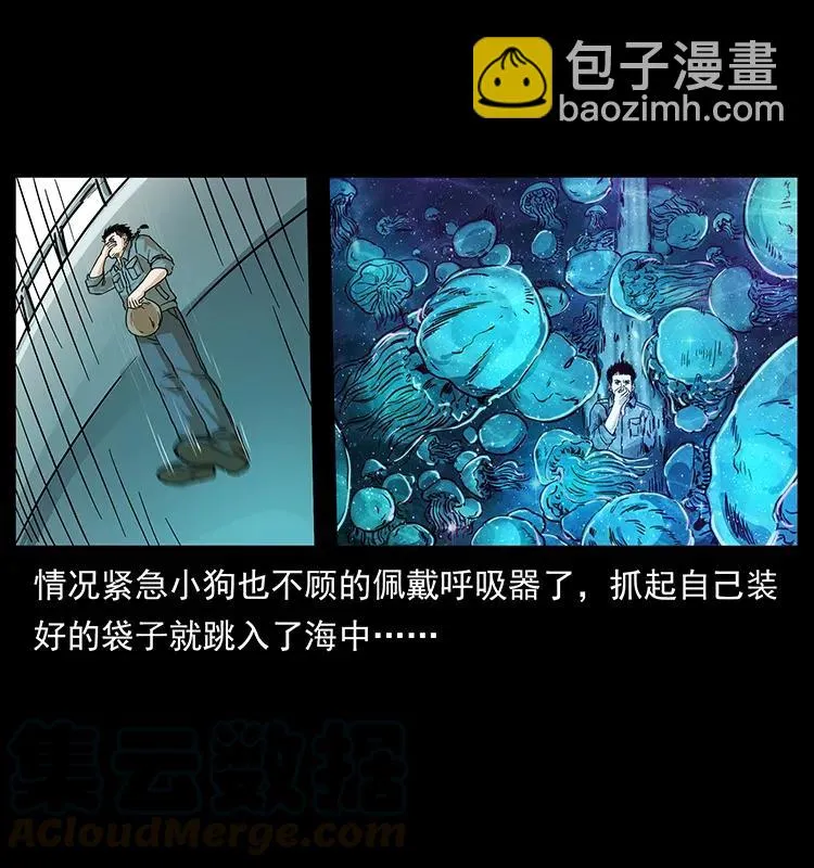 240 意外频发的诱捕 第21页