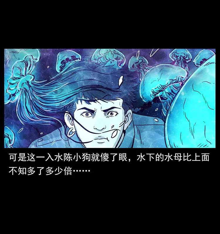 240 意外频发的诱捕 第22页