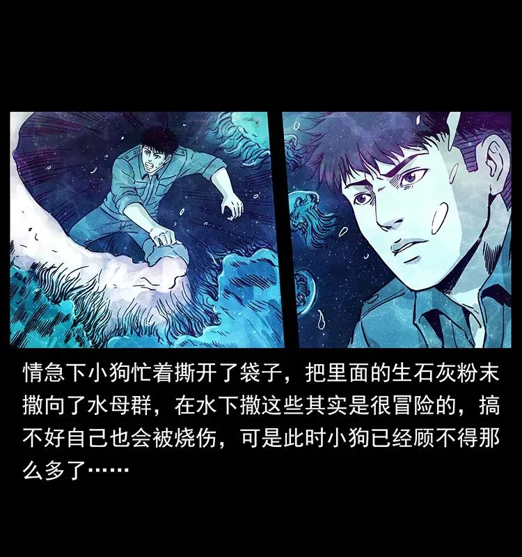 240 意外频发的诱捕 第24页