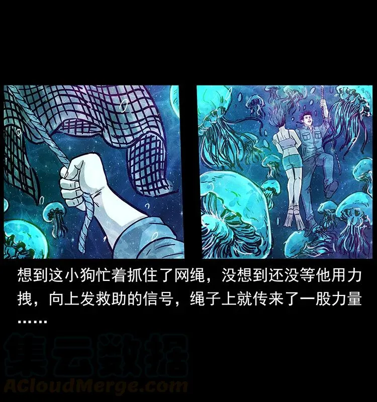 240 意外频发的诱捕 第29页