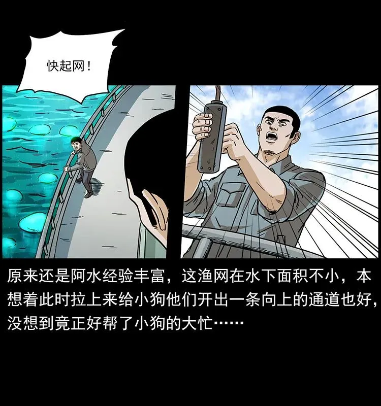 240 意外频发的诱捕 第30页
