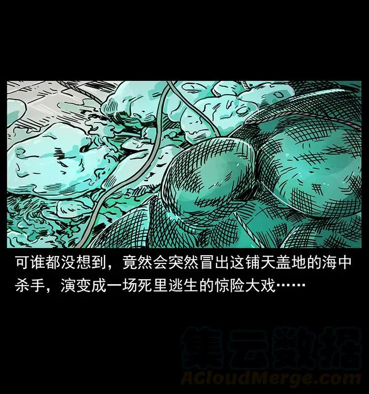 240 意外频发的诱捕 第33页