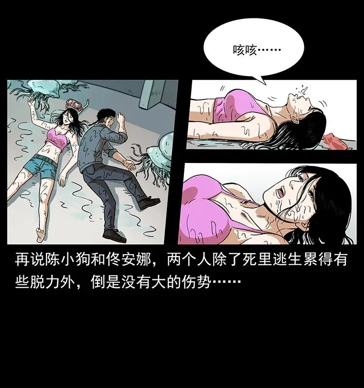 240 意外频发的诱捕 第35页