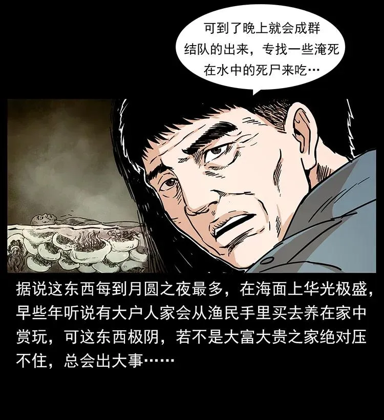 240 意外频发的诱捕 第50页