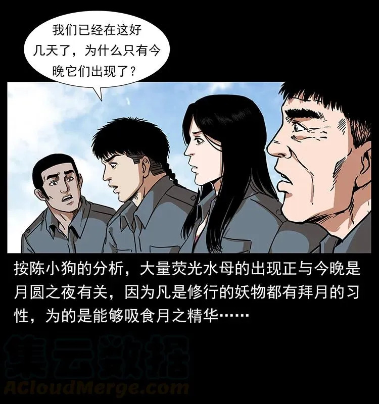 240 意外频发的诱捕 第57页