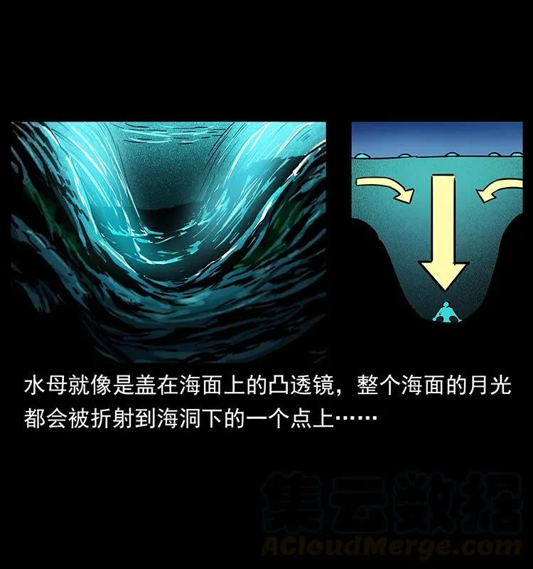 240 意外频发的诱捕 第61页