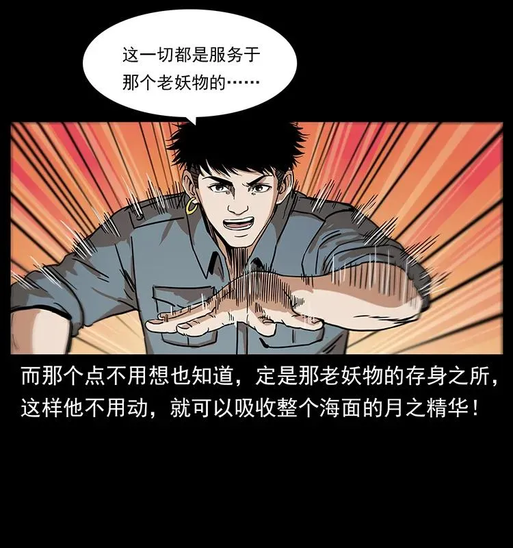 240 意外频发的诱捕 第62页