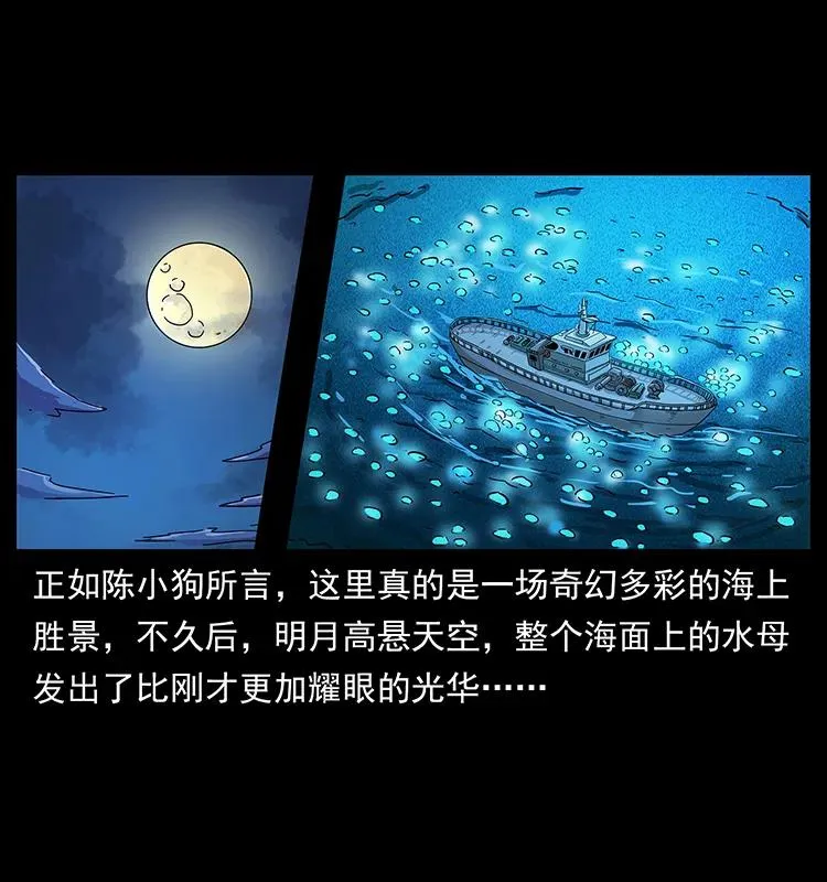 240 意外频发的诱捕 第67页