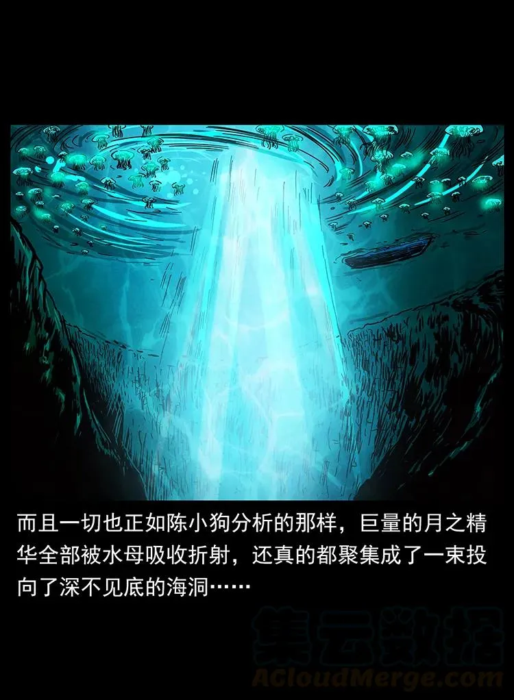240 意外频发的诱捕 第69页