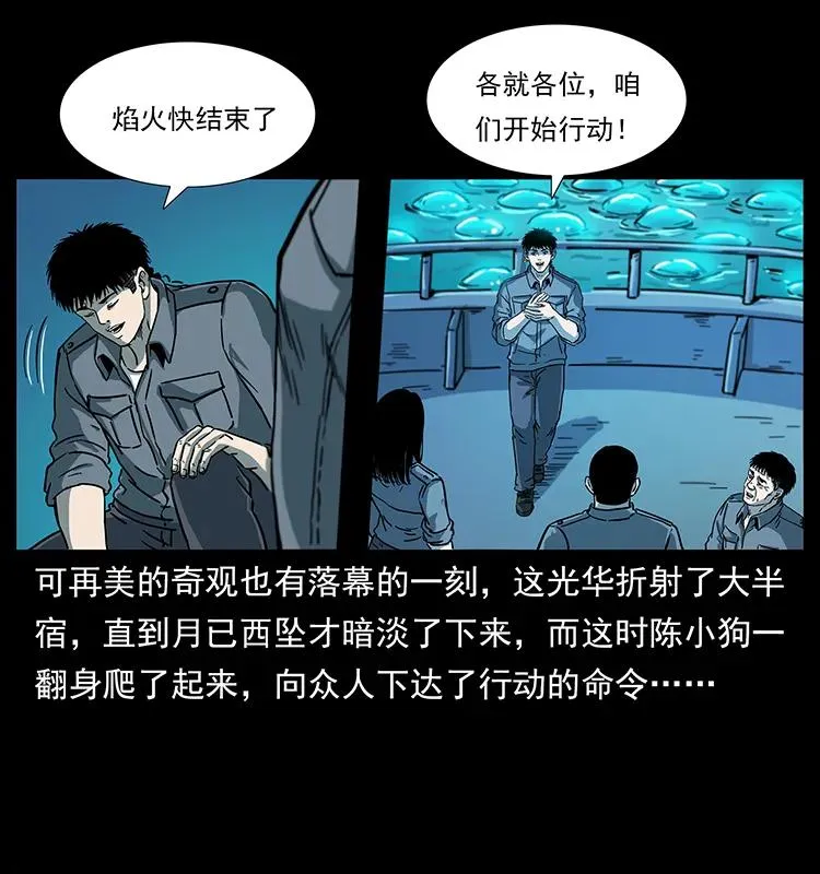 240 意外频发的诱捕 第71页