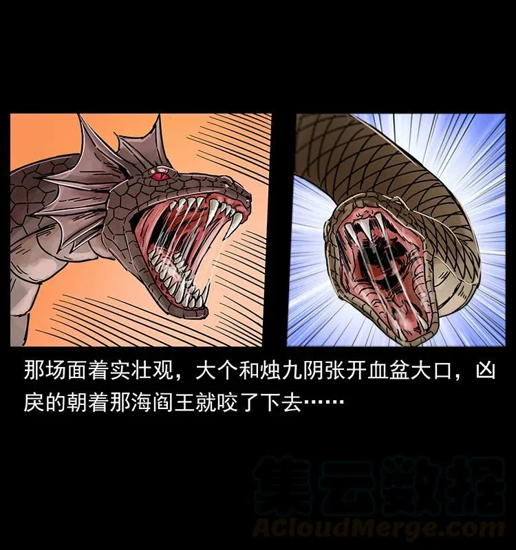 243 大战海阎王 第9页