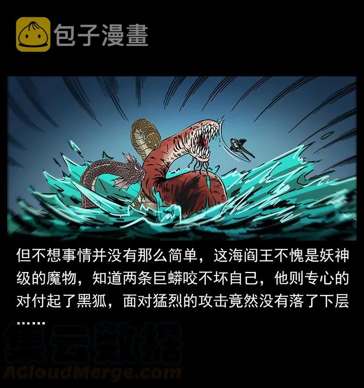 243 大战海阎王 第13页