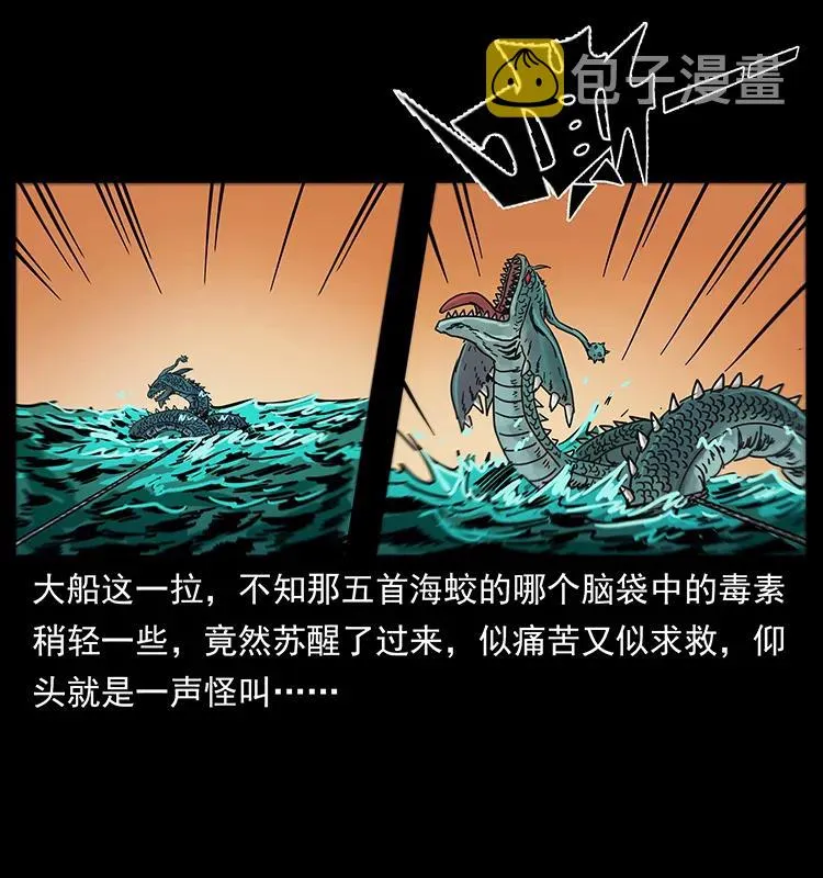 243 大战海阎王 第16页