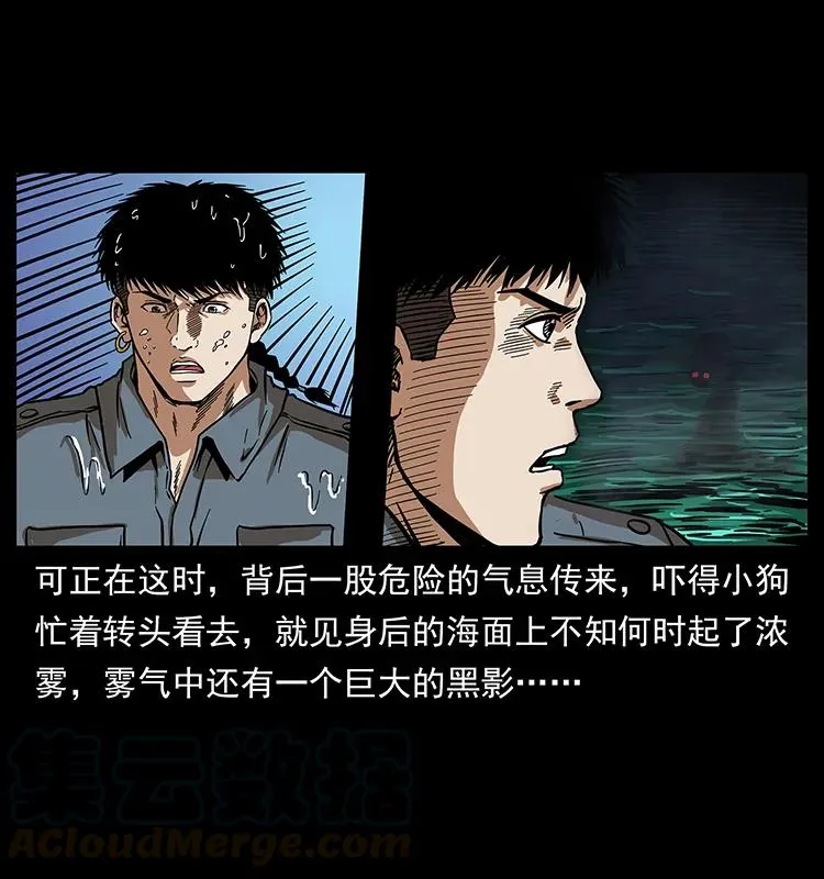 242 陈小狗失算了 第5页