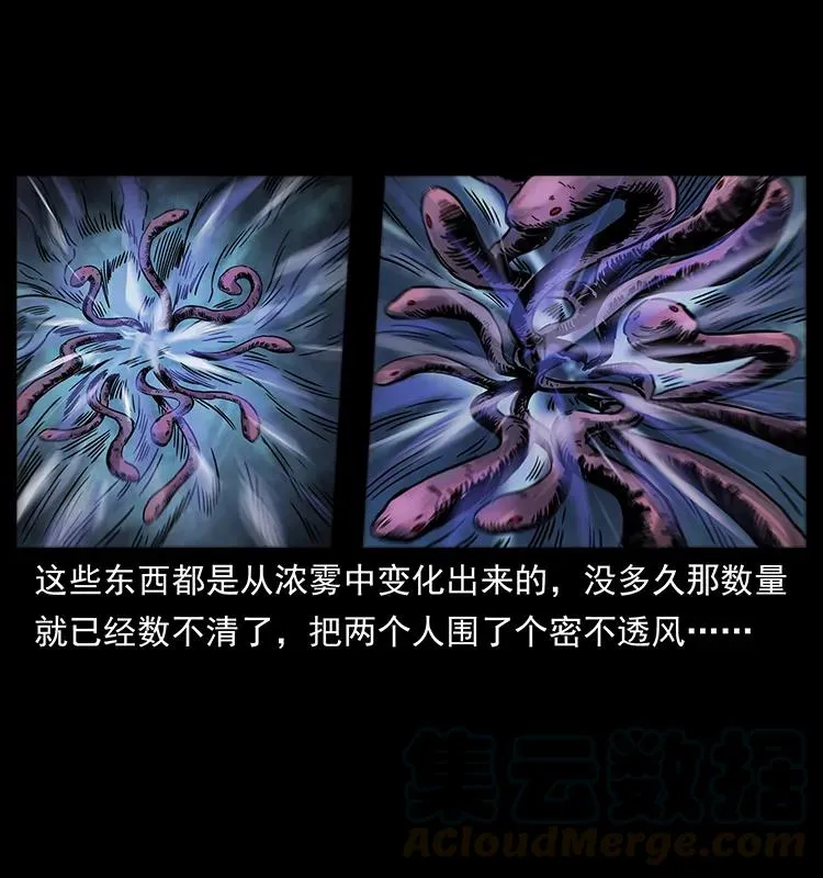 242 陈小狗失算了 第21页