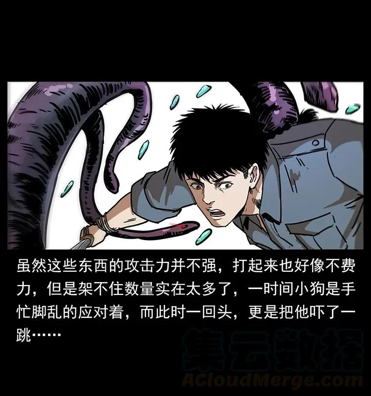 242 陈小狗失算了 第25页
