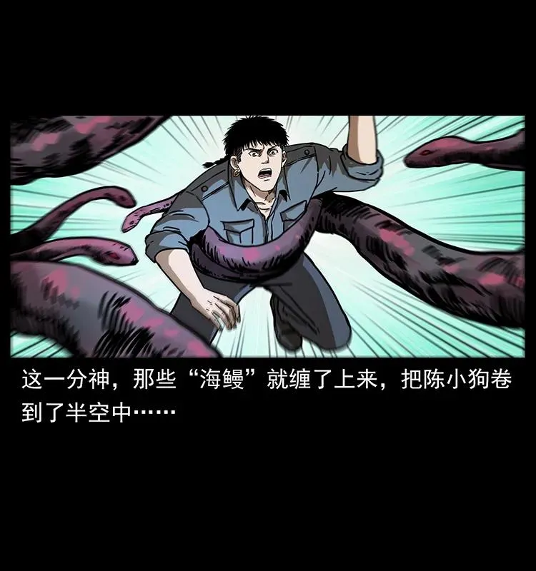 242 陈小狗失算了 第31页