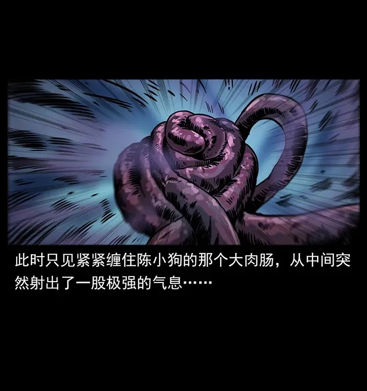 242 陈小狗失算了 第42页