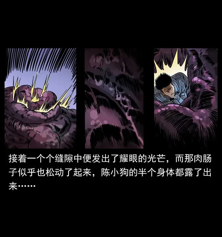 242 陈小狗失算了 第43页