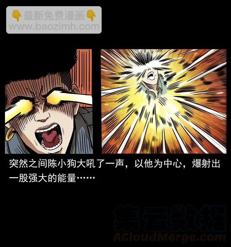 242 陈小狗失算了 第45页