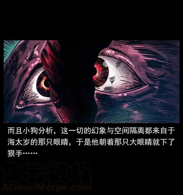 242 陈小狗失算了 第53页