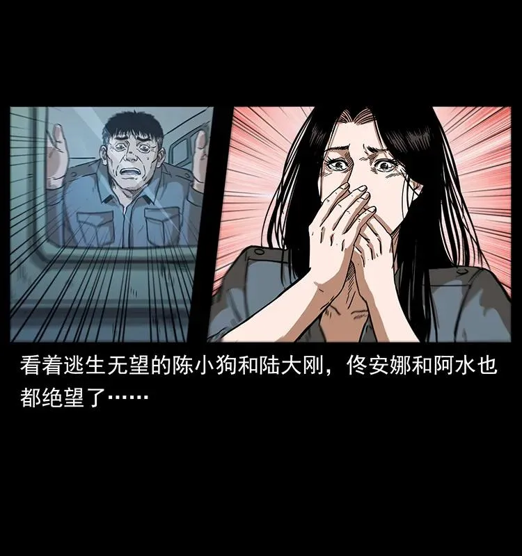 242 陈小狗失算了 第67页