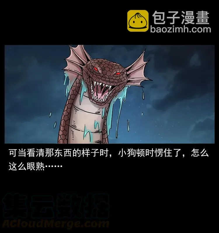 242 陈小狗失算了 第77页