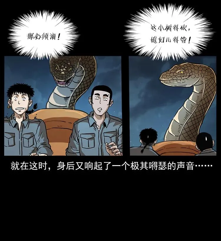242 陈小狗失算了 第79页