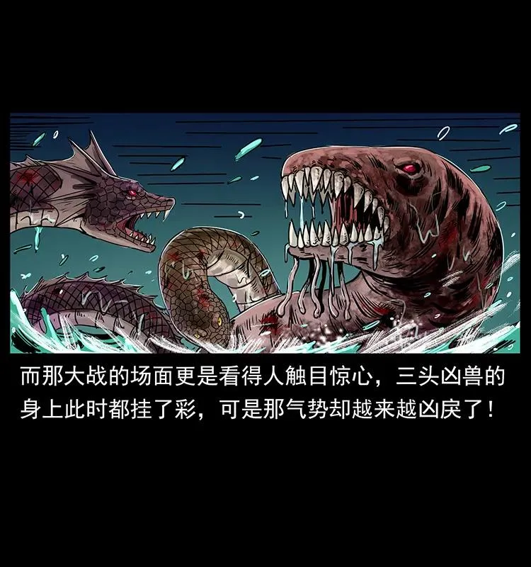 244 神迹 第14页