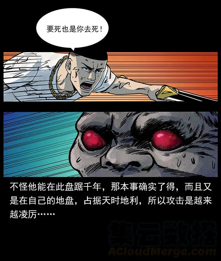 244 神迹 第85页