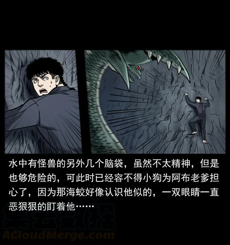 248 月蚀之夜 第17页