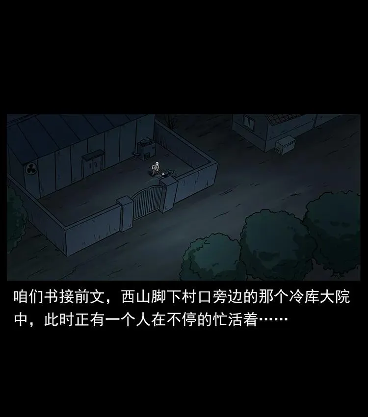 251 刨尸狗遇险 第2页