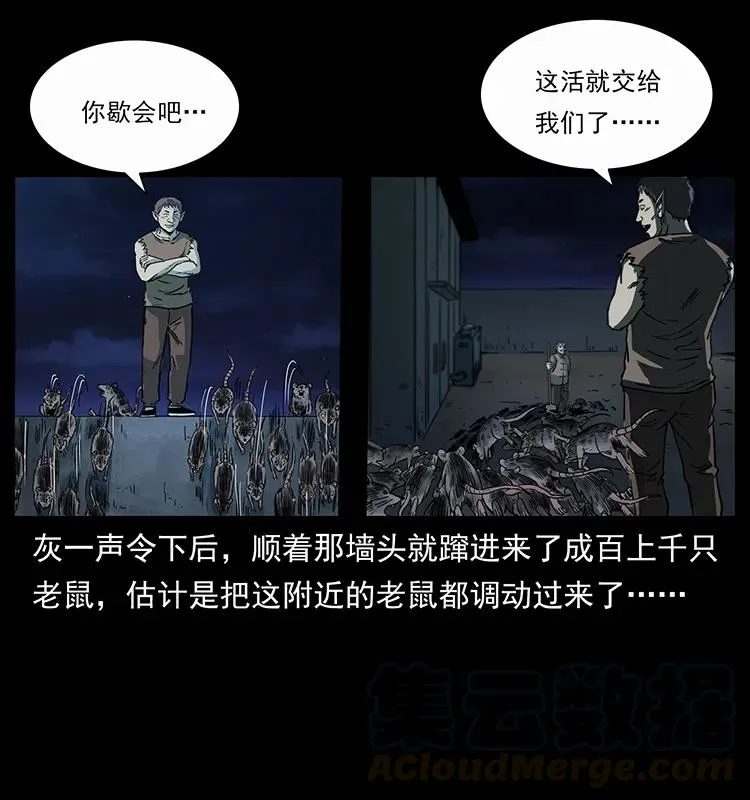 251 刨尸狗遇险 第5页