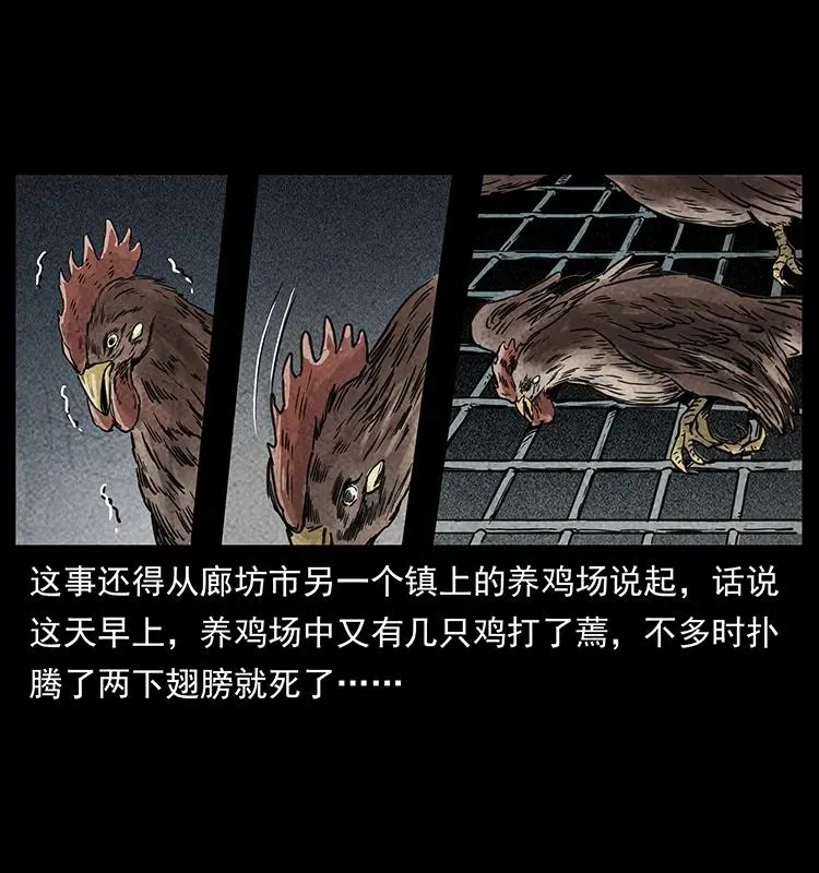 251 刨尸狗遇险 第28页
