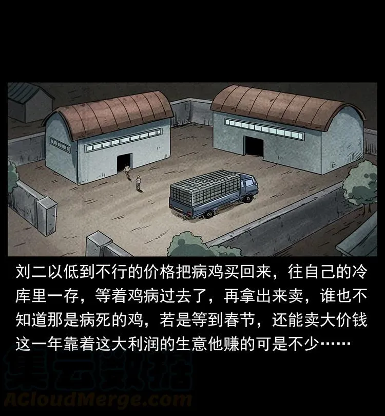 251 刨尸狗遇险 第41页