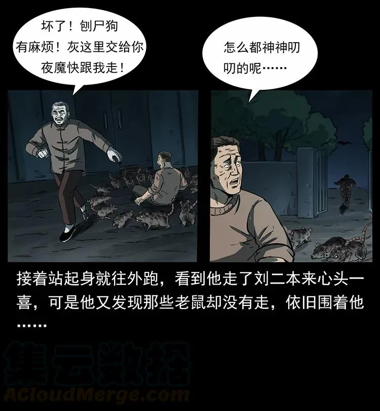 251 刨尸狗遇险 第61页