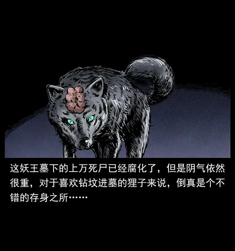 251 刨尸狗遇险 第67页