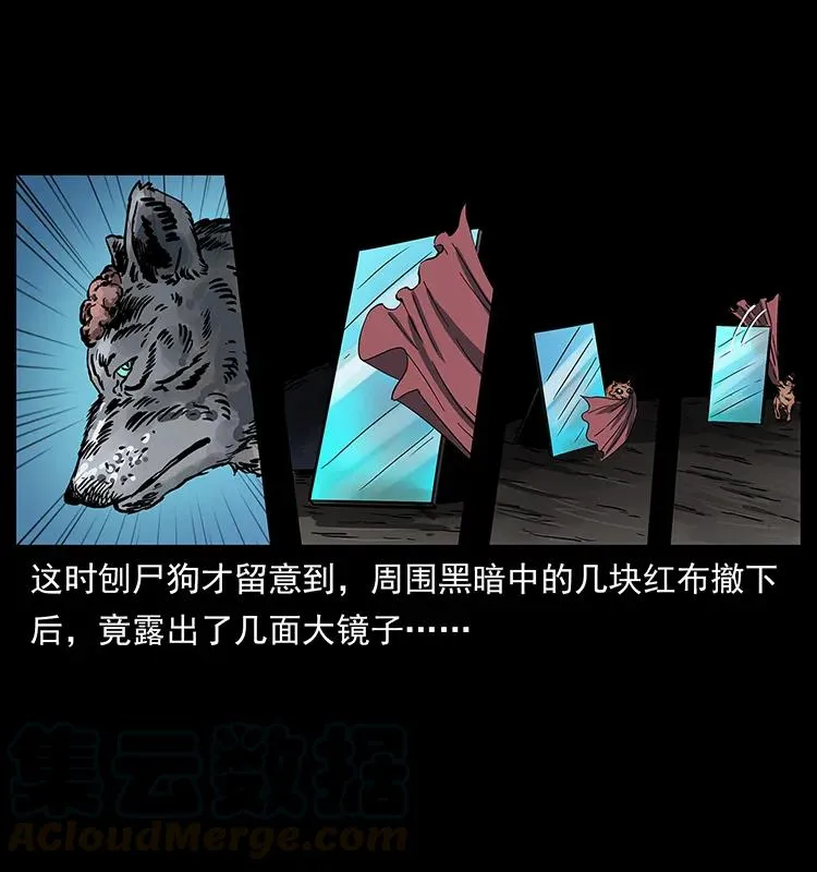 251 刨尸狗遇险 第73页