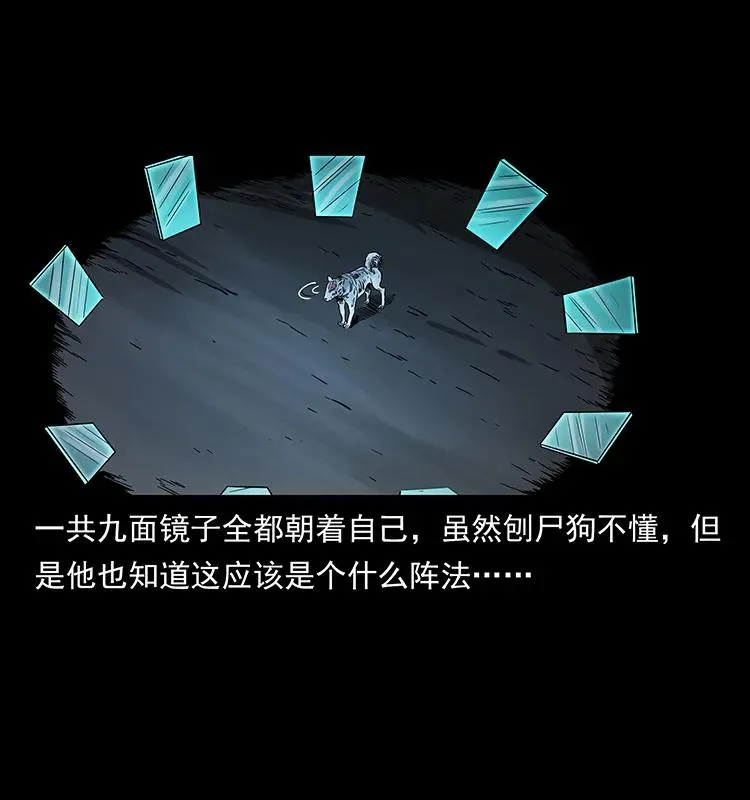 251 刨尸狗遇险 第74页