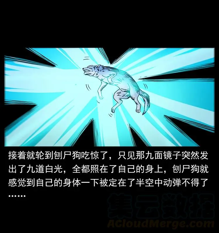 251 刨尸狗遇险 第77页