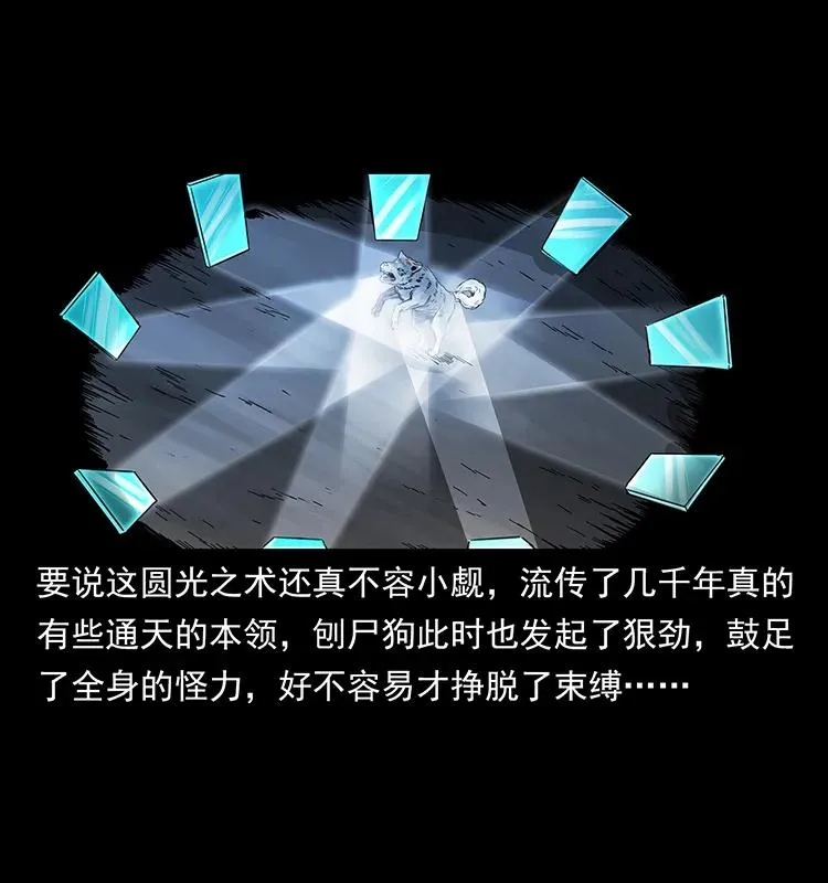 251 刨尸狗遇险 第78页