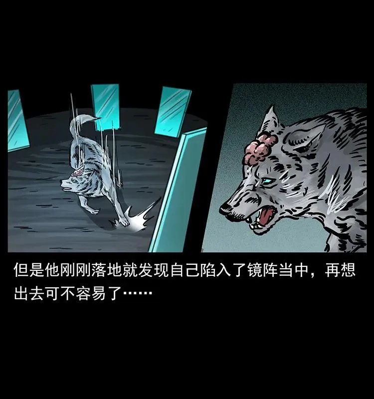 251 刨尸狗遇险 第79页