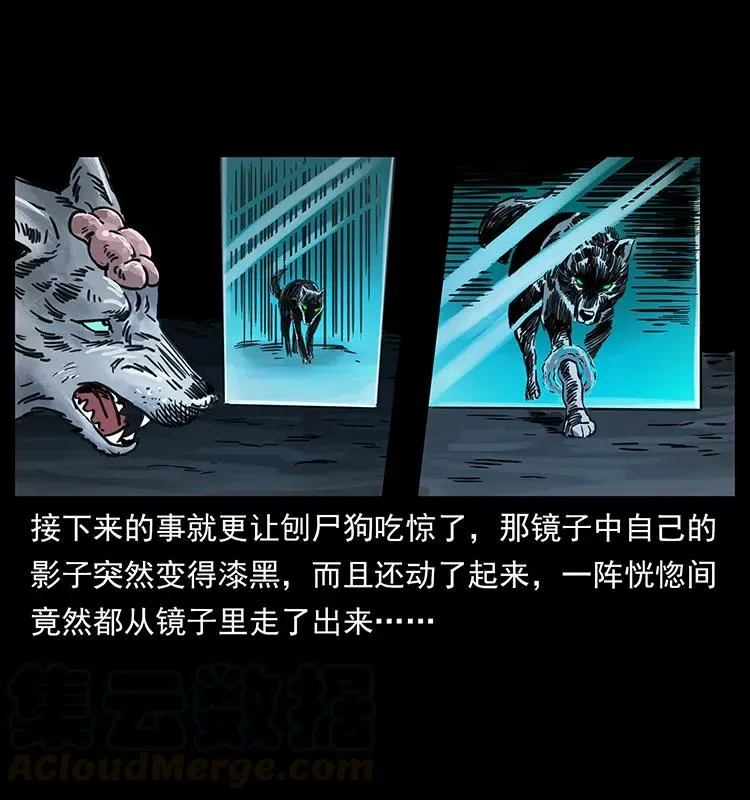 251 刨尸狗遇险 第81页