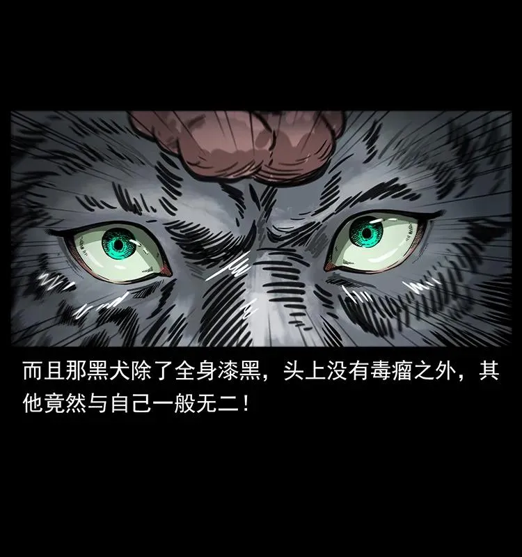 251 刨尸狗遇险 第82页