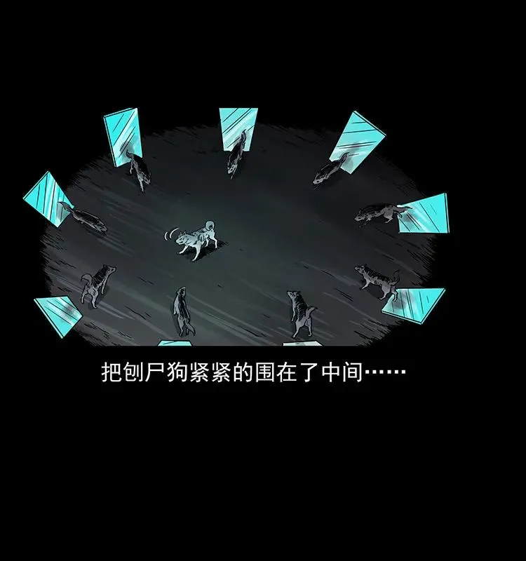 251 刨尸狗遇险 第84页
